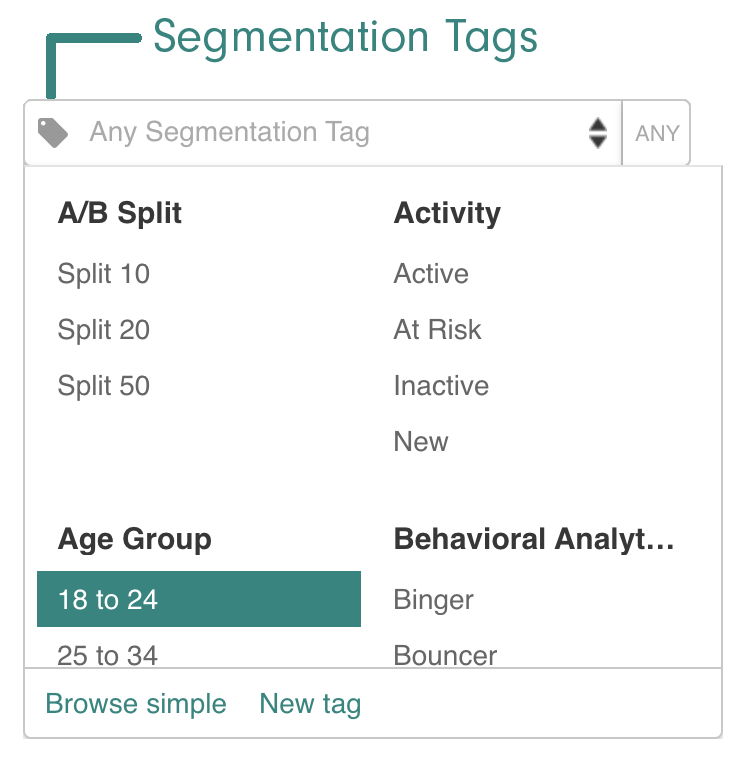 Segmentation_Tag_variants.png