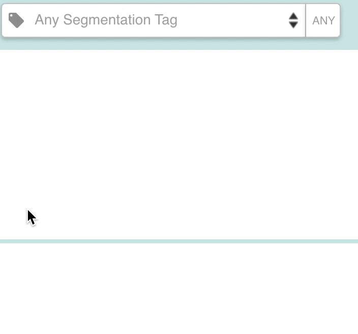 Segmentation_Tags.gif