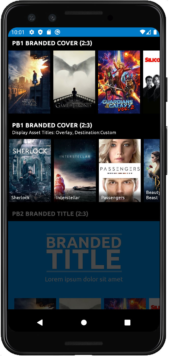 PB1_Branded_Cover__2.3__Mobile.jpg