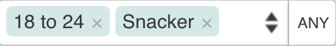 Segmentation_tags_-_match_any.png